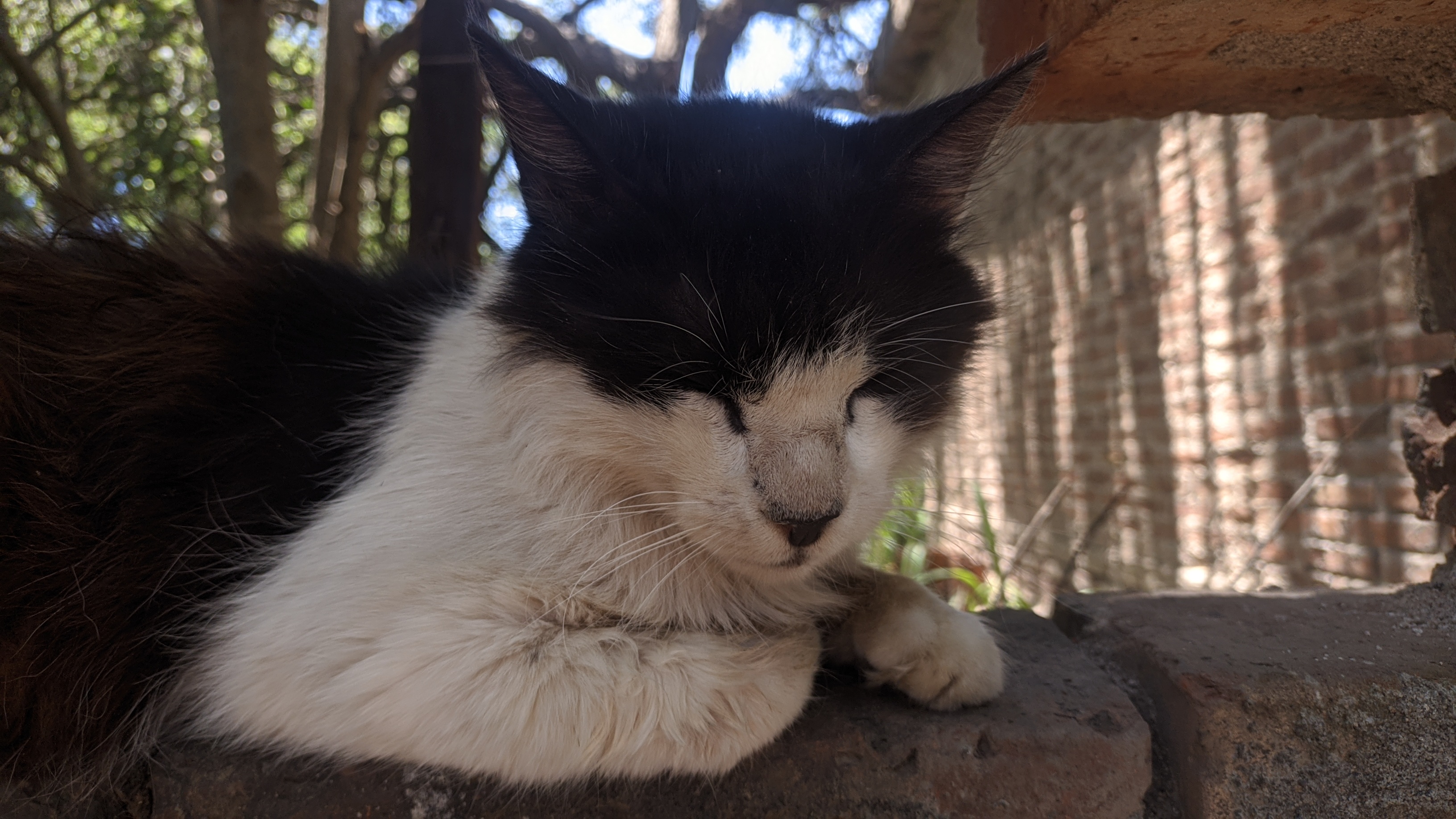 Profile picture of Pablo
